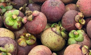 Mangosteen Grade MARKET ABC/A2