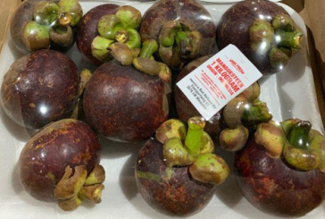 Mangosteen Grade SP2 (BC)/A3